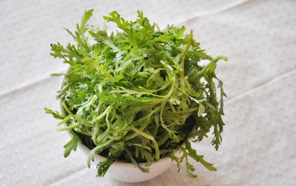 火鍋涮菜桐蒿圖片