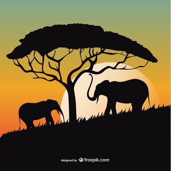 非洲日落与大象和树的剪影
