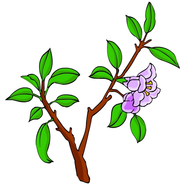 花卉古典插畫