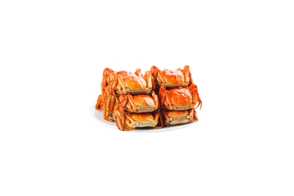 秋蟹河蟹螃蟹动物美味食物素材餐饮蟹黄