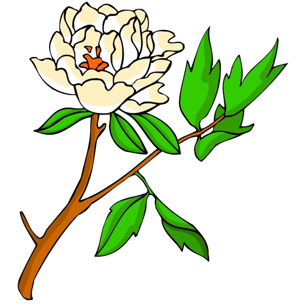 花卉古典插畫