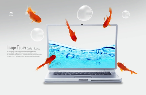 筆記本電腦內(nèi)的金魚和泡泡