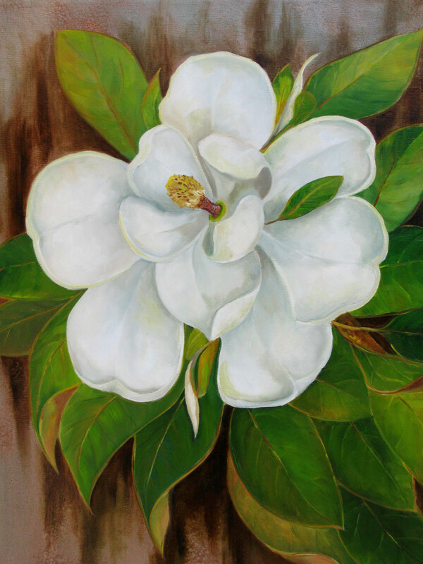 油画白色花朵