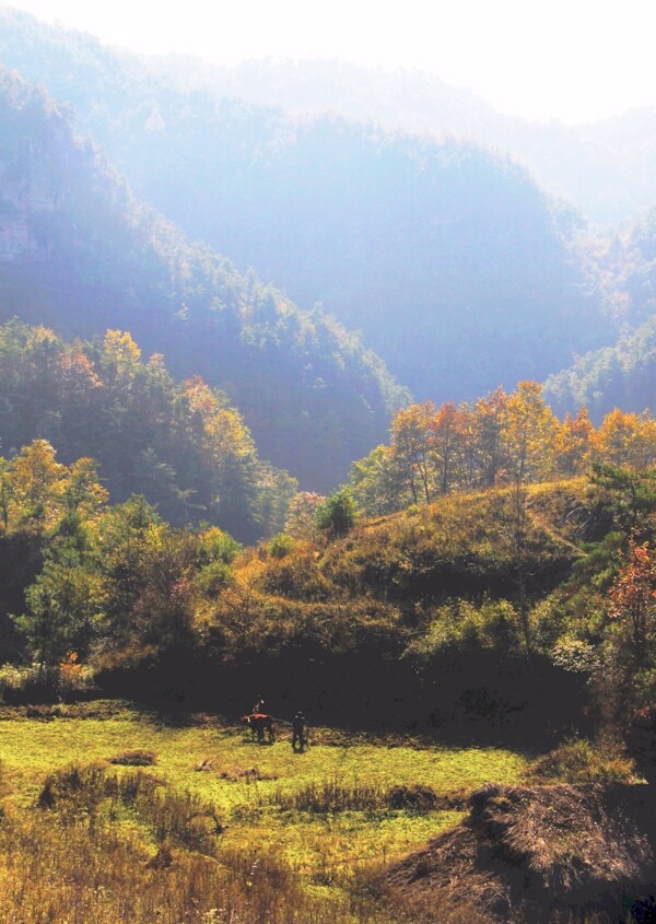 風(fēng)景
