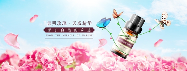 玫瑰精油海報