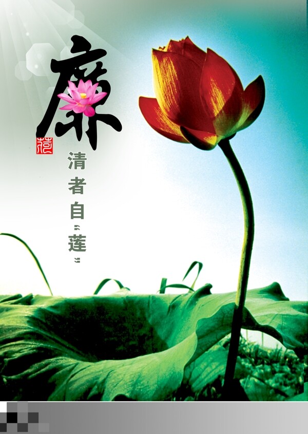 廉政文化廉潔荷花圖片