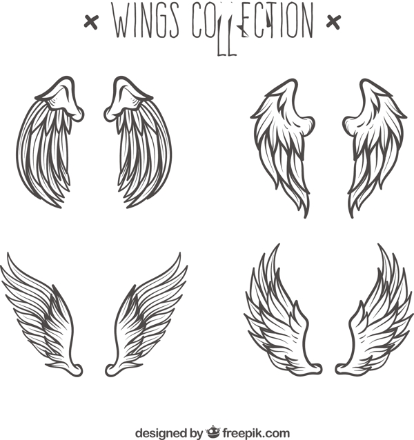 手绘素描风格双翼翅膀矢量素材