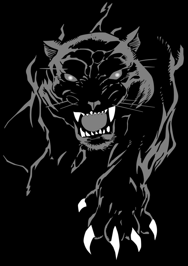 黑色美洲豹