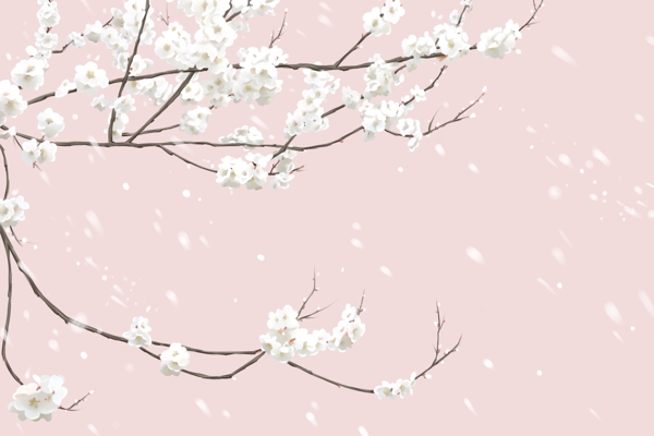 手繪花唯美粉色背景插畫