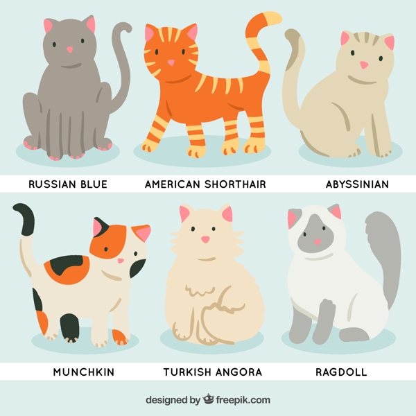6款可爱宠物猫设计矢量素材