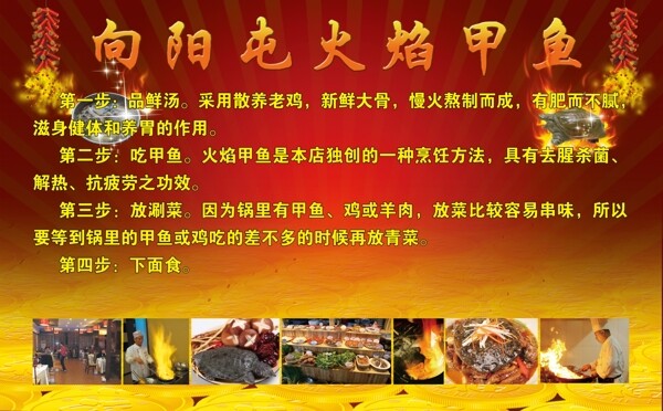 火焰甲魚圖片