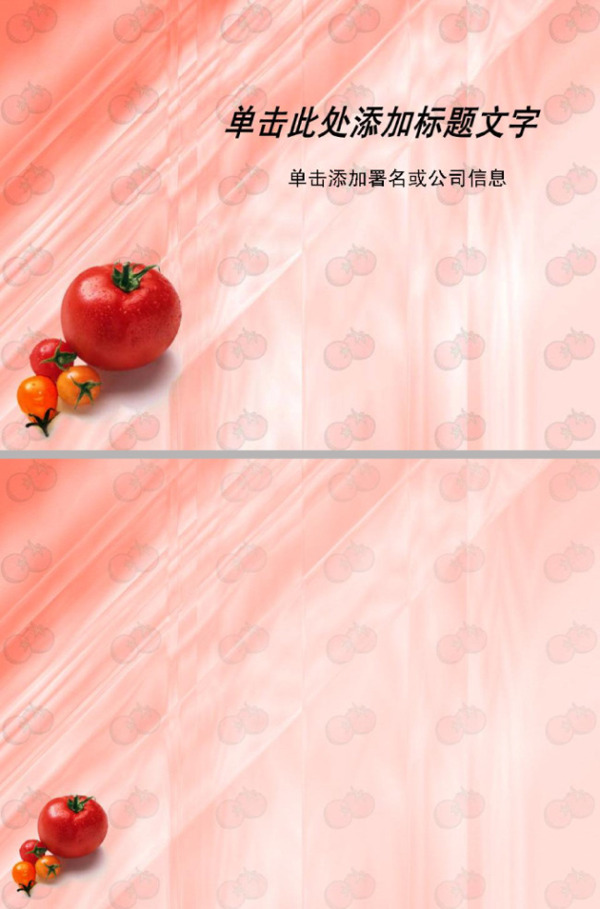 西红柿ppt模板西红柿