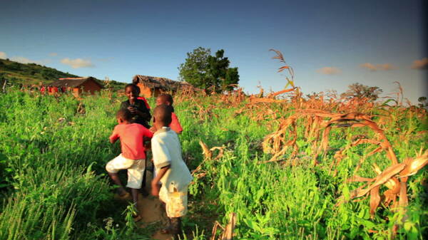 在肯尼亚附近的1股票视频一村的孩子视频免费下载