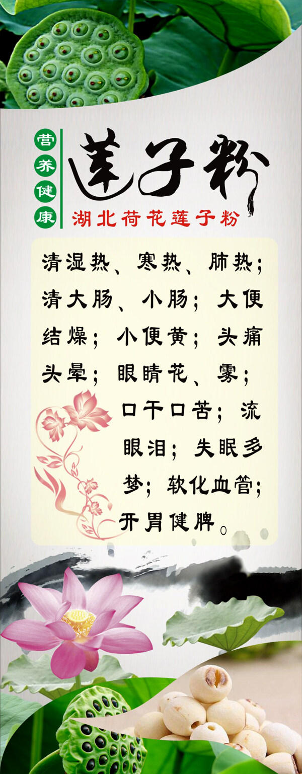 蓮子粉易拉寶展架