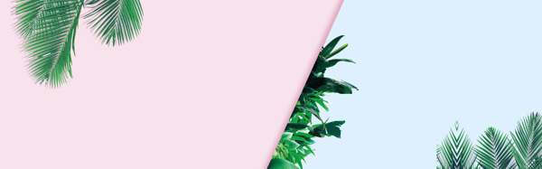 清新綠色植物淘寶全屏banner背景