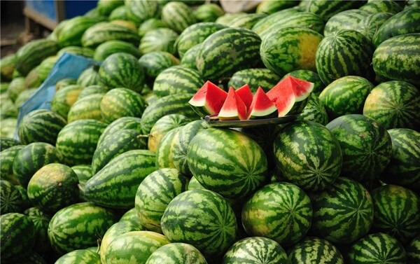 西瓜水果圖片