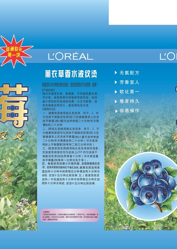 藍(lán)莓盒子圖片