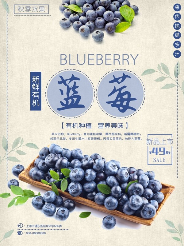 蓝莓新鲜上市海报
