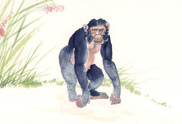 小草中国画绘画猴子