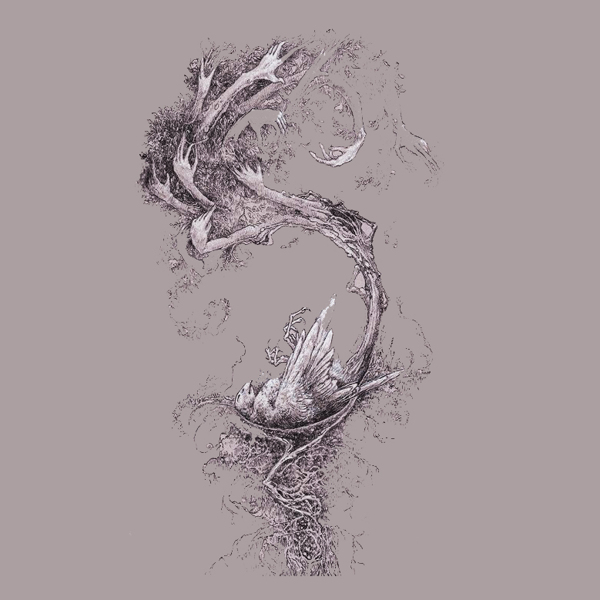 位圖插畫植物插畫插畫師Socar免費(fèi)素材