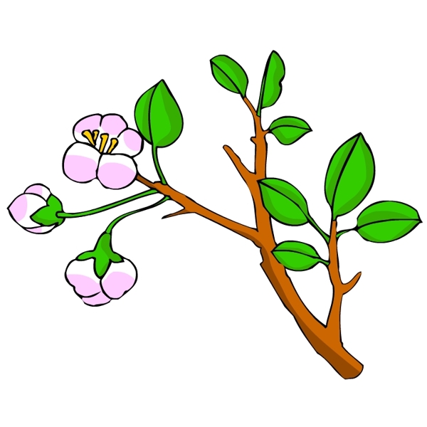 花卉古典插畫