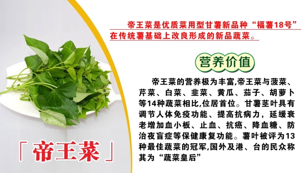 菜品介紹圖片