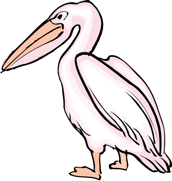 各種鳥(niǎo)類(lèi)鳥(niǎo)動(dòng)物矢量素材EPS格式1245