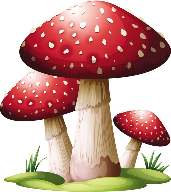 食物蘑菇素材