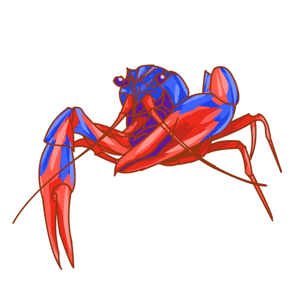 蓝红色小龙虾