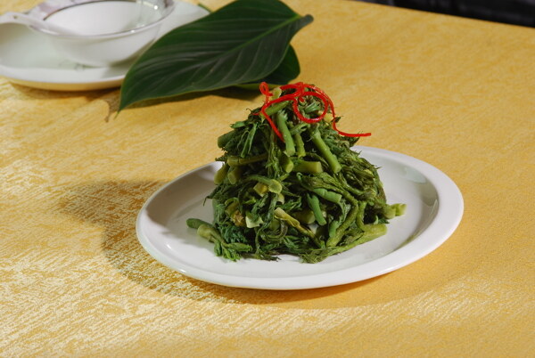 蕨菜圖片