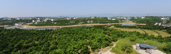 橘園