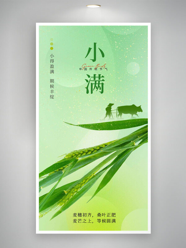 清新綠色麥穗插畫小滿節(jié)氣海報