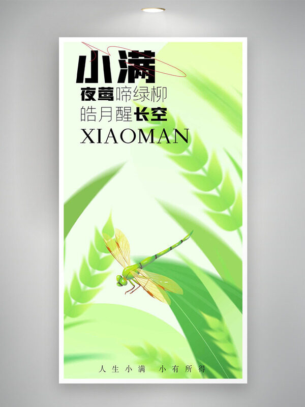 小滿節(jié)氣極簡綠色主題麥穗插畫蜻蜓海報