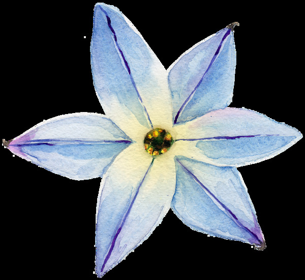 蓝色花朵水彩透明花朵素材