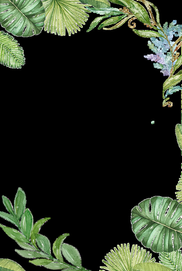 植物png免扣素材框
