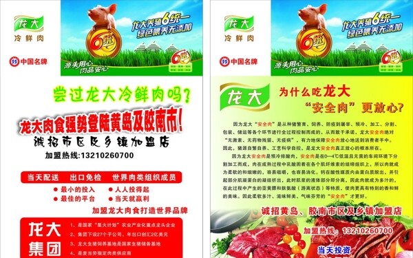 龍大彩頁圖片