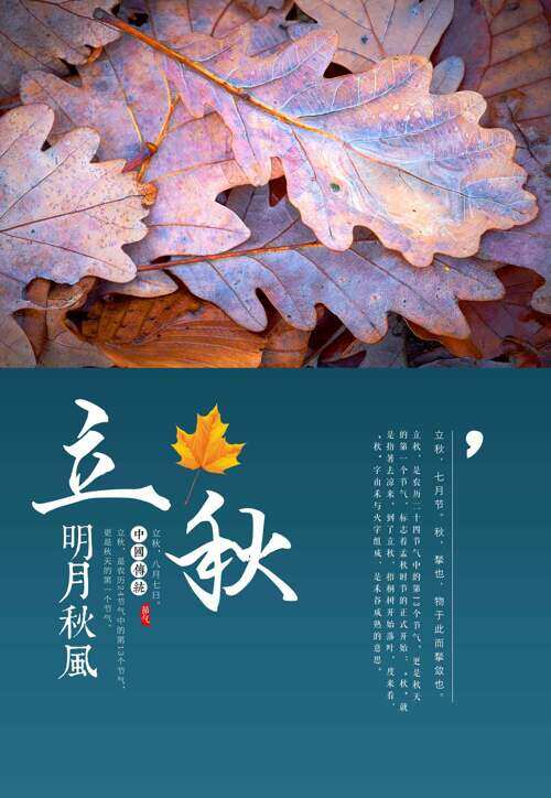 明月秋风秋叶图案立秋节气海报