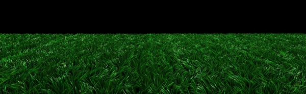 超宽高清3D草地素材图片