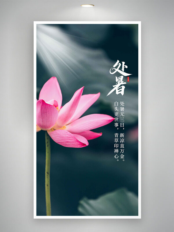 傳統(tǒng)處暑節(jié)氣簡約荷花攝影背景海報