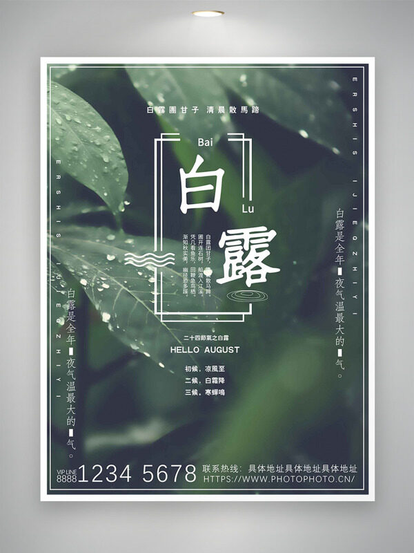 二十四節(jié)氣白露綠葉攝影海報(bào)