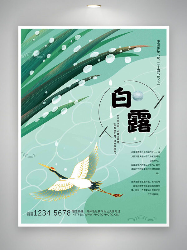 中國(guó)傳統(tǒng)節(jié)氣白露仙鶴展翅插綠色背景海報(bào)
