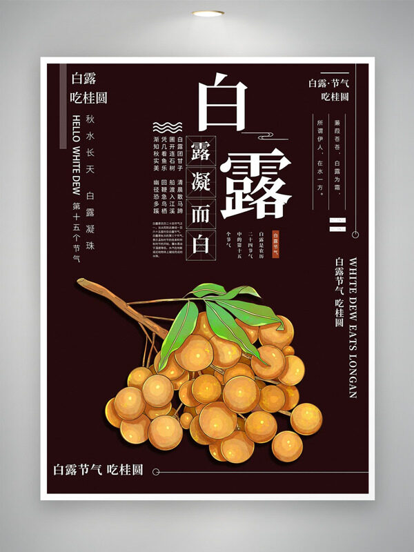 秋水長天白露凝珠手繪桂圓插畫白露節(jié)氣海報
