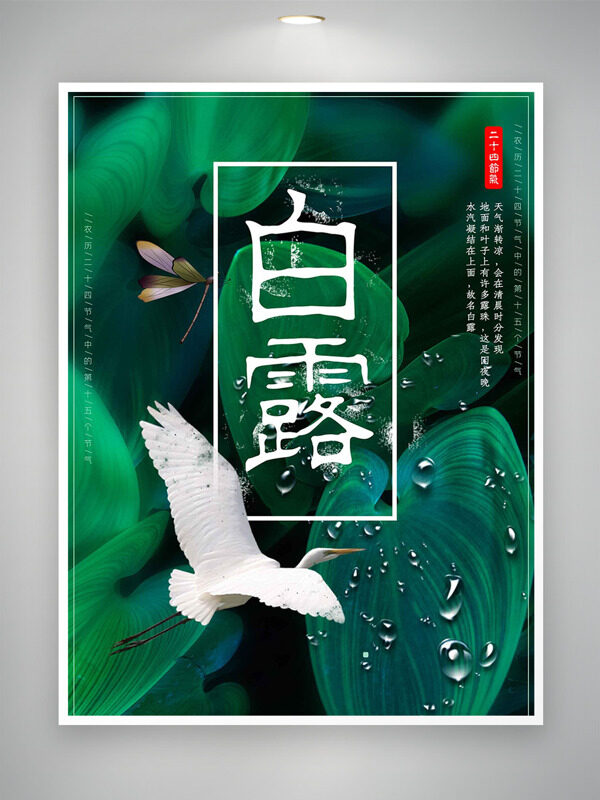 簡(jiǎn)約自然攝影美圖白露傳統(tǒng)節(jié)氣海報(bào)