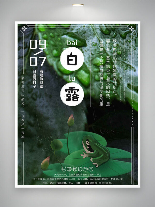 簡(jiǎn)約卡通青蛙荷葉插畫白露節(jié)氣海報(bào)