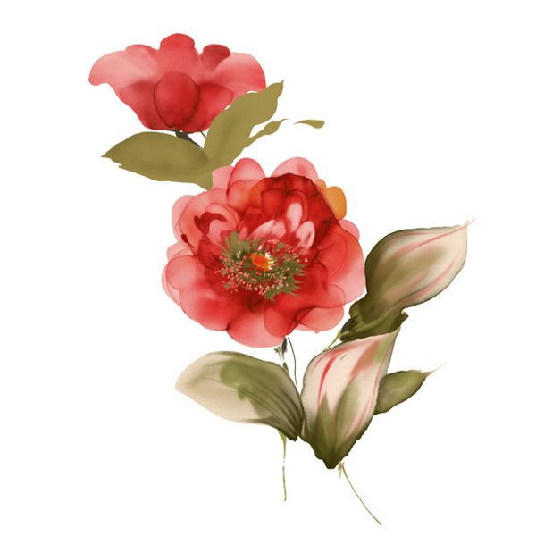 位圖植物寫(xiě)意花卉花朵牡丹免費(fèi)素材