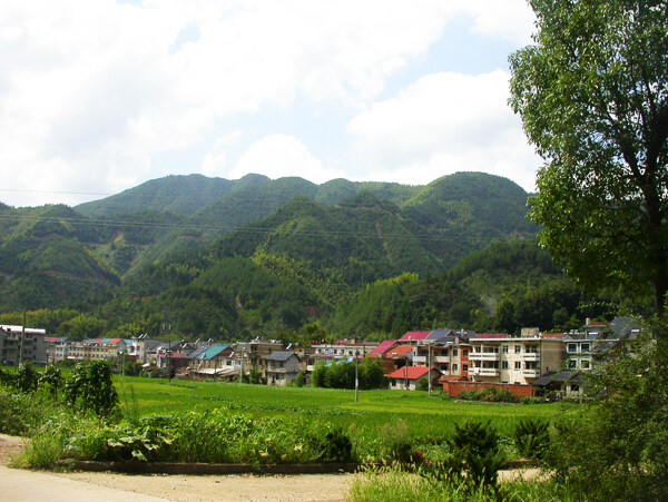 湖北常德桃花源圖片