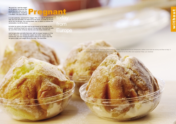 厨房美味食品画册设计PSD素材