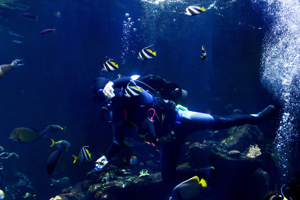 在水族潛水