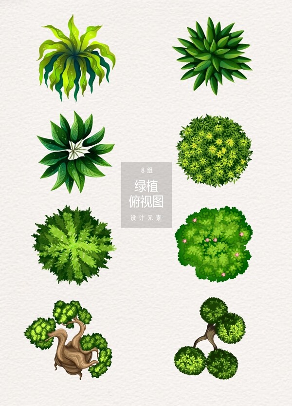 綠植樹(shù)木俯視圖設(shè)計(jì)元素