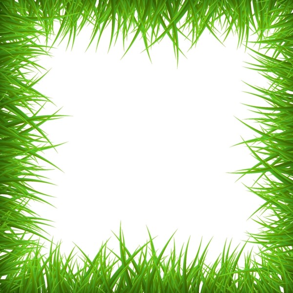 绿草空白框架背景图片